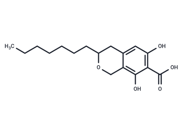 TAN 1446C – Figure 1 of 1