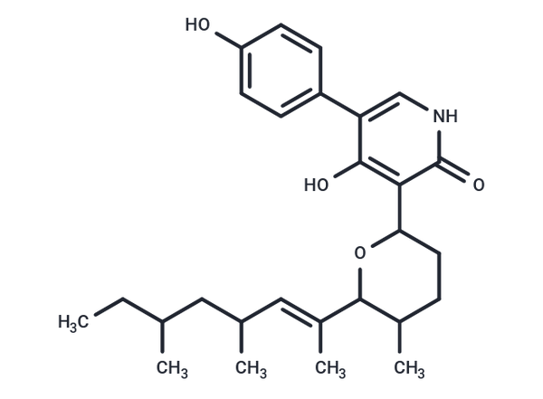 N-Demethylsambutoxin – Figure 1 of 1