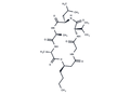 Isariin D – Figure 1 of 1