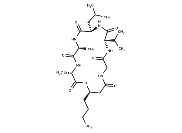 Isariin D – Figure 1 of 1