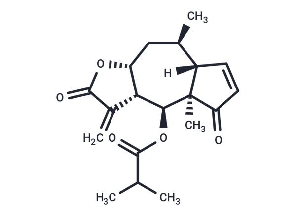 6-O-Isobutyrylhelenalin,Helenalin isobutyrate – Figure 1 of 1