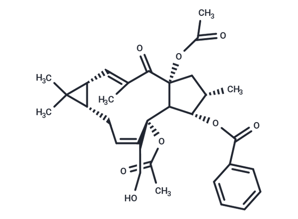 Euphorbia factor L24 – Figure 1 of 1