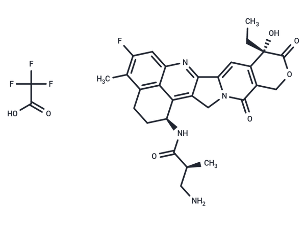 NH2-methylpropanamide-Exatecan TFA – Figure 1 of 1