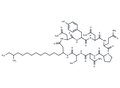 Iturin A8 – Figure 1 of 1