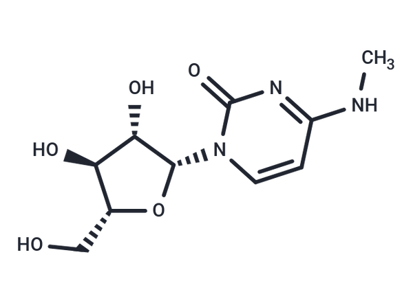 N4-Methylarabinocytidine – Figure 1 of 1