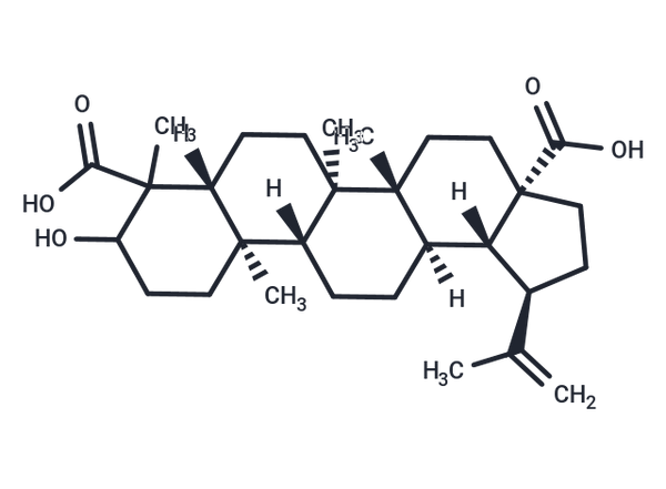 3-Hydroxylup-20(29)en-23,28-dioic acid – Figure 1 of 1