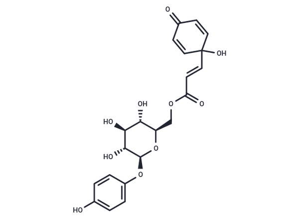Robustaside D – Figure 1 of 1