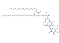 C18 Globotriaosylceramide (d18:1/18:0) – Figure 1 of 1