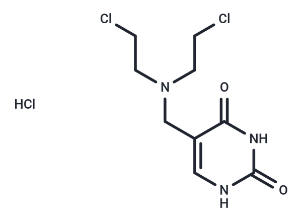 Thyminalkamine – Figure 1 of 1