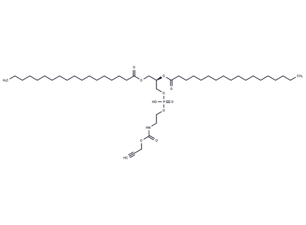 DSPE-alkyne – Figure 1 of 1