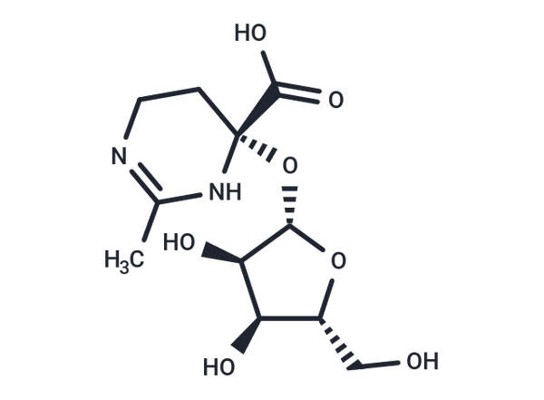 Rhizolotine – Figure 1 of 1