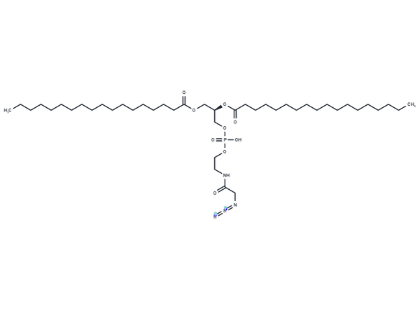 DSPE-N3 – Figure 1 of 1