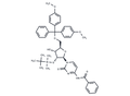 5'-O-DMT-2'-O-TBDMS-Bz-rC – Figure 1 of 1