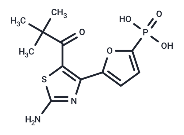 MB-07729 – Figure 1 of 1