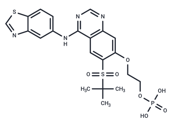 GSK2983559 free acid – Figure 1 of 1