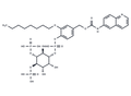 WH-15 – Figure 1 of 1
