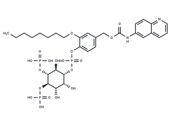 WH-15 – Figure 1 of 1