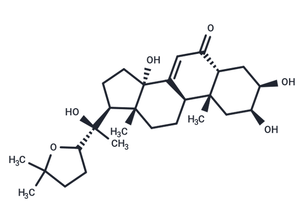 Stachysterone D – Figure 1 of 1