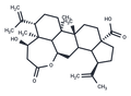 Chiisanogenin – Figure 1 of 1