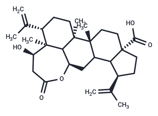 Chiisanogenin – Figure 1 of 1