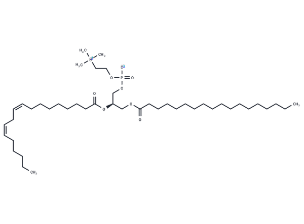 1-Stearoyl-2-linoleoyl-sn-glycero-3-phosphocholine – Figure 1 of 1