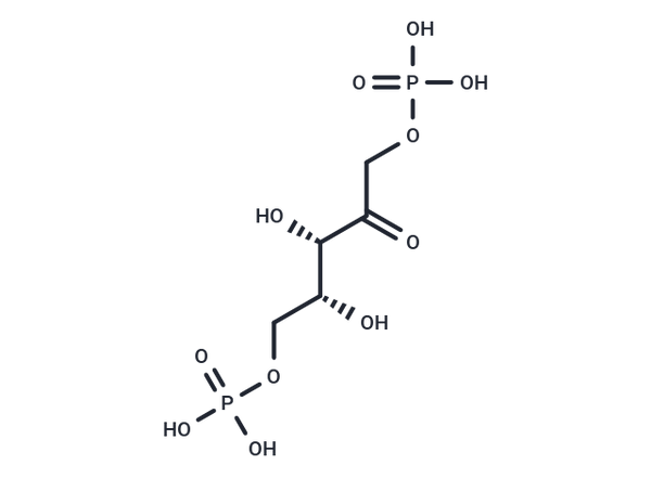 XuBP – Figure 1 of 1