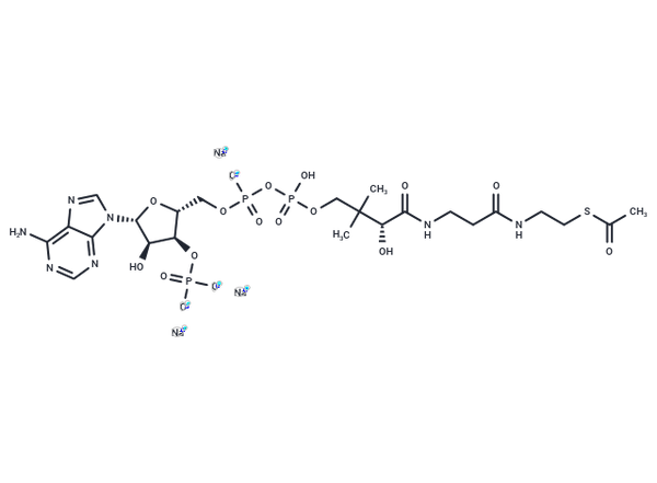 Acetyl Coenzyme A trisodium – Figure 1 of 1