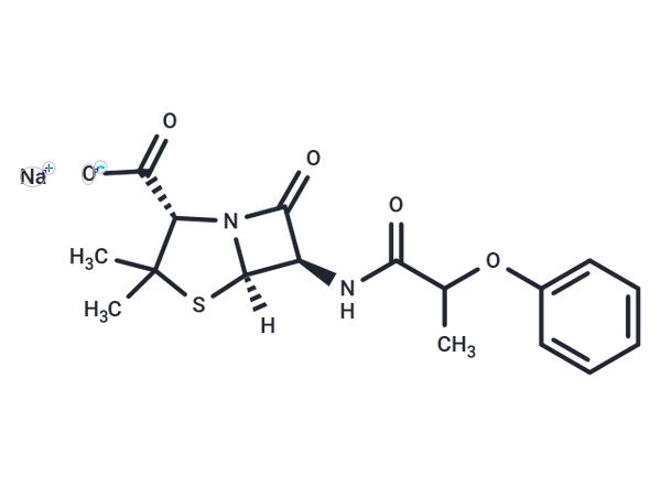Phenethicillin sodium – Figure 1 of 1