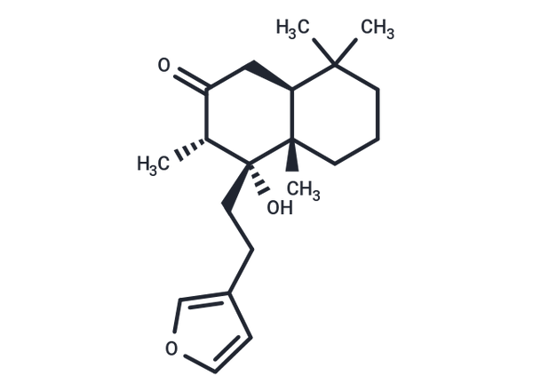Hispanolone – Figure 1 of 1