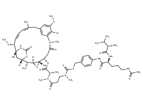 Val-Cit-amide-Cbz-N(Me)-Maytansine – Figure 1 of 1