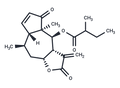 6-O-(2-Methylbutyryl)helenalin – Figure 1 of 1