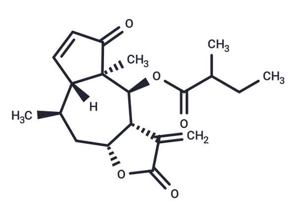 6-O-(2-Methylbutyryl)helenalin – Figure 1 of 1