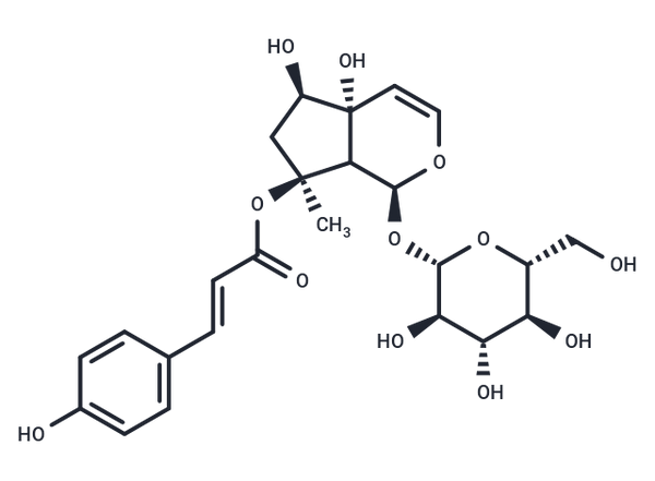 8-p-Coumaroylharpagide – Figure 1 of 1