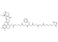 (1R)-Deruxtecan – Figure 1 of 1