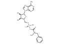 Phenylalanyl adenylate – Figure 1 of 1