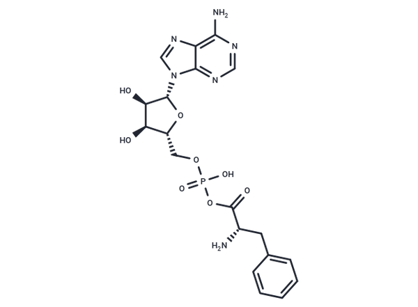 Phenylalanyl adenylate – Figure 1 of 1