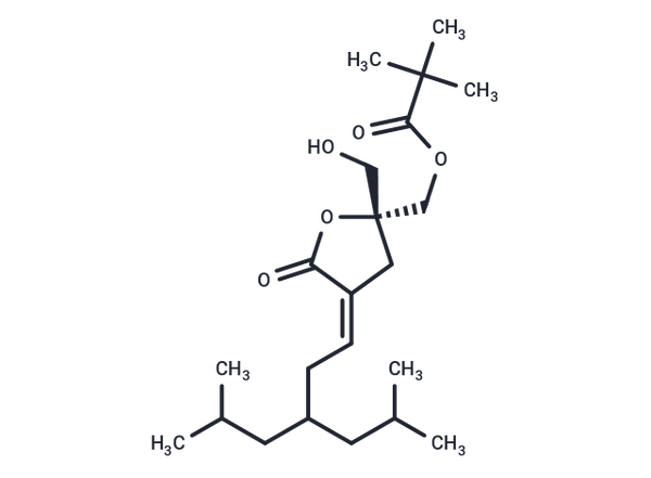 JH-131e-153 – Figure 1 of 1