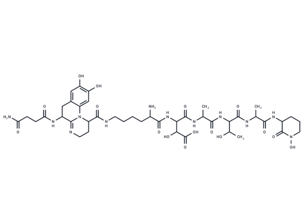 Pseudobactin A – Figure 1 of 1