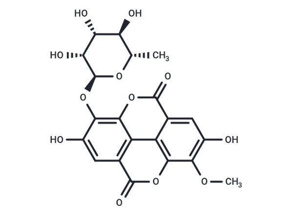 3-O-Methylellagic acid 3'-O-alpha-rhamnopyranoside – Figure 1 of 1