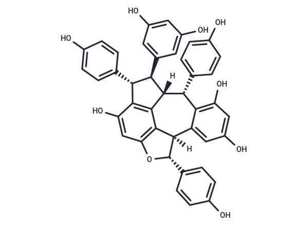 Ampelopsin C – Figure 1 of 1