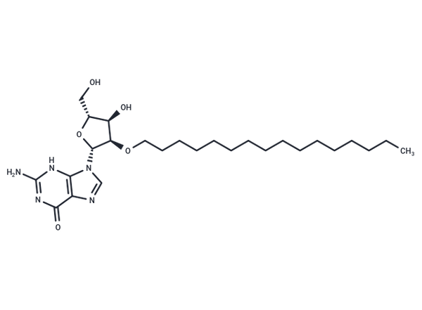 2'-O-Hexadecanyl guanosine – Figure 1 of 1