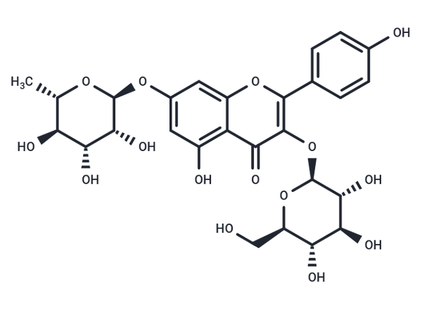 Kaempferol 3-glucoside 7-rhamnoside – Figure 1 of 1