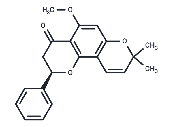 Pongachin – Figure 1 of 1