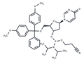 DMTr-dH2U-amidite – Figure 1 of 1
