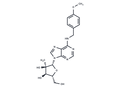 N6-(4-Methoxybenzyl)-2'-C-methyl adenosine – Figure 1 of 1