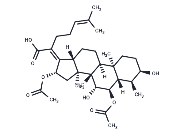Cephalosporin P1 – Figure 1 of 1