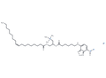Fluorescent DOTAP – Figure 1 of 1