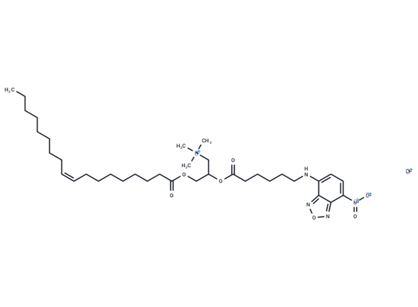 Fluorescent DOTAP – Figure 1 of 1