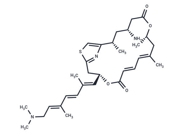 Pateamine A – Figure 1 of 1