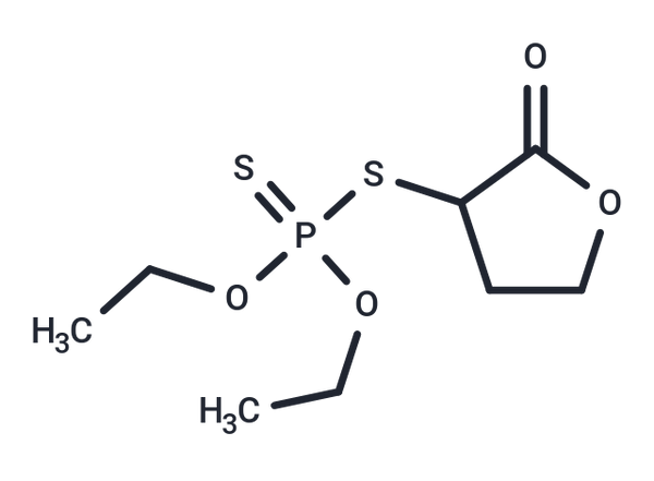 AI 3-27211 – Figure 1 of 1